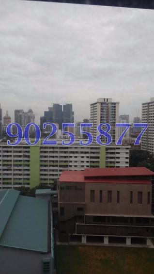 Blk 11 Farrer Park Road (Kallang/Whampoa), HDB 5 Rooms #128932792